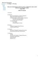 TOOL KIT OF RESOURCES FOR CULTURAL COMPETENT EDUCATION FOR BACCALAUREATE NURSES pdf