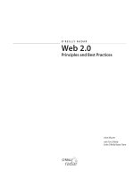 O’Reilly Radar Web 2.0 Principles and Best Practices pot