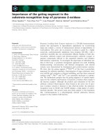 Báo cáo khoa học: Importance of the gating segment in the substrate-recognition loop of pyranose 2-oxidase pptx