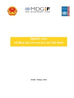 Nghiên cứu về Mua bán trẻ em trai tại Việt Nam docx