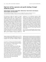 Báo cáo khóa học: High level cell-free expression and speciﬁc labeling of integral membrane proteins doc