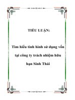TIỂU LUẬN: Tìm hiểu tình hình sử dụng vốn tại công ty trách nhiệm hữu hạn Sinh Thái pdf