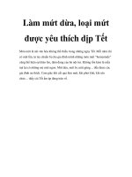 Làm mứt dừa, loại mứt được yêu thích dịp Tết docx