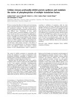 Báo cáo Y học: Cellular stresses profoundly inhibit protein synthesis and modulate the states of phosphorylation of multiple translation factors potx