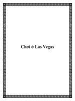 Chơi ở Las Vegas docx