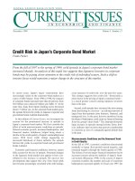 Credit Risk in Japan’s Corporate Bond Market doc