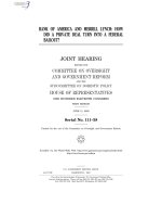 BANK OF AMERICA AND MERRILL LYNCH: HOW DID A PRIVATE DEAL TURN INTO A FEDERAL BAILOUT? potx