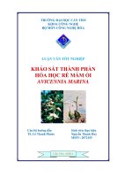 khảo sát thành phần hóa học rễ mắm ổi avicennia marina