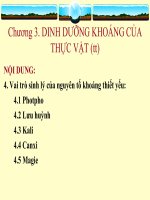 Chương 3 - Dinh dưỡng khoáng của thực vật docx