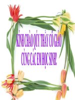 Cuộc cách mạng tháng mười Nga năm 1917 lịch sử