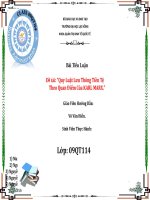 Bài Thuyết Trình TCTT pot