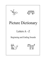 Picture Dictionary Letters A - Z Beginning and Ending Sounds docx