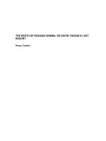 THE DEATH OF RUSSIAN CINEMA, OR SOCHI: RUSSIA’S LAST RESORT ppt