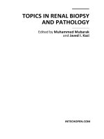Topicc in renal biopsy and pathology dited by Muhammed Mubarak and Javed I. Kazi. doc