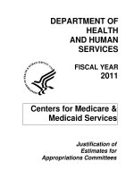 DEPARTMENT OF HEALTH AND HUMAN SERVICES FISCAL YEAR 2011 pptx