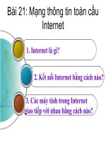 Bai 21 Mang thong tin toandsadasda cau Internet doc