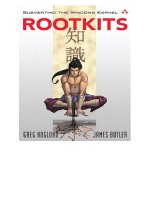 Rootkits -  subverting the windows kernel