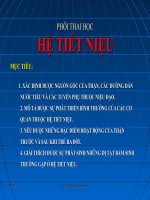 Hệ tiết niệu pot