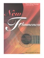 New Flanenco 10 bài solo cho ghitar potx