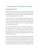 Thị trường quảng cáo: Nhường hết cho nước ngoài doc