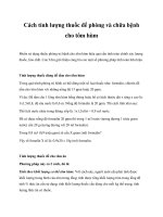 Cách tính lượng thuốc để phòng và chữa bệnh cho tôm hùm pot