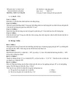 ĐỀ THI HỌC KỲ II - NĂM HỌC: 2012-2013 Môn: Vật lí Khối: 10 - THPT CẦN THẠNH A pptx