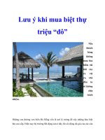 Lưu ý khi mua biệt thự triệu “đô” pdf