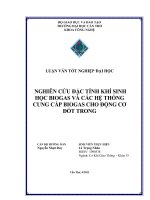 nghiên cứu đặc tính khí sinh học biogas và các hệ thống cung cấp biogas cho động cơ đốt trong