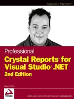 Professional Crystal Reports for Visual Studio.NET Second Edition potx