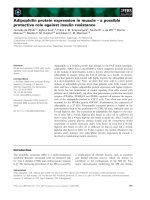 Báo cáo khoa học: Adipophilin protein expression in muscle – a possible protective role against insulin resistance pot