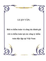 LUẬN VĂN: Rủi ro kiểm toán và công tác đánh giá rủi ro kiểm toán tại các công ty kiểm toán độc lập tại Việt Nam potx