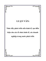 LUẬN VĂN: Thúc đẩy phát triển nền kinh tế, tạo điều kiện cho các tổ chức kinh tế, các doanh nghiệp trong nước phát triển pptx