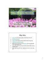 Siêu âm ống tiêu hóa pdf