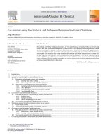 gas sensors using hierarchical and hollow oxide nanostructures