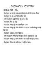 chuong x tu vi mo den vi mo