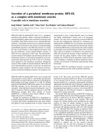 Báo cáo Y học: Secretion of a peripheral membrane protein, MFG-E8, as a complex with membrane vesicles A possible role in membrane secretion pptx
