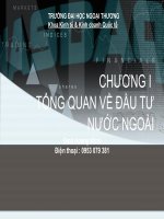 Tổng quan đầu tư nước ngoài pptx