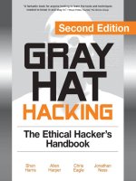 mcgraw hill gray hat hacking 2nd