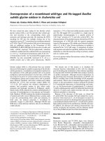 Báo cáo Y học: Overexpression of a recombinant wild-type and His-tagged Bacillus subtilis glycine oxidase in Escherichia coli pptx
