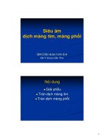 Siêu âm dịch màng tim màng phổi pdf