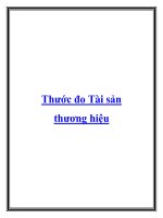 Thước đo Tài sản thương hiệu doc
