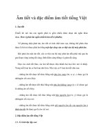 Âm tiết và đặc điểm âm tiết tiếng Việt ppt