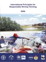 International Principles for Responsible Shrimp Farming