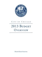 City of Chicago 2013 Budget Overview potx