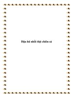 Đậu hũ nhồi thịt chiên sả pot