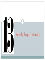 Xác định qui mô mẫu ppt