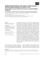 Báo cáo khoa học: Hodgkin Reed–Sternberg cells express 15-lipoxygenase-1 and are putative producers of eoxins in vivo Novel insight into the inﬂammatory features of classical Hodgkin lymphoma ppt