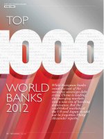 Top 1000 world Bank 2012 pptx