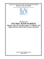 BÀI HỌC KINH NGHIỆM TRONG VIỆC NGẦM HÓA ĐIỆN VÀ THÔNG TIN TRÊN ĐƯỜNG TRẦN HƯNG ĐẠO (TP.HCM) docx