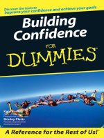 building confidence for dummies